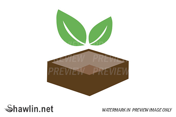 Download Box of Vegetarian Food - Vegetarian food Collection