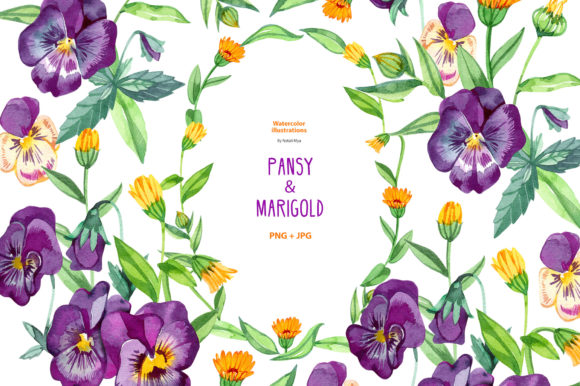Download Watercolor Pansy and Marigold. - Premium Resources