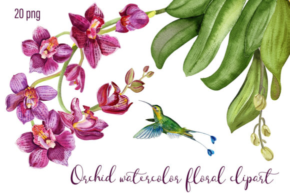 Download Orchid Watercolor Floral Digital Clipart - Digital Collection