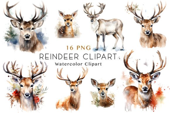 Download Watercolor Reindeer Clipart Bundle - Watercolor reindeer clipart Collection